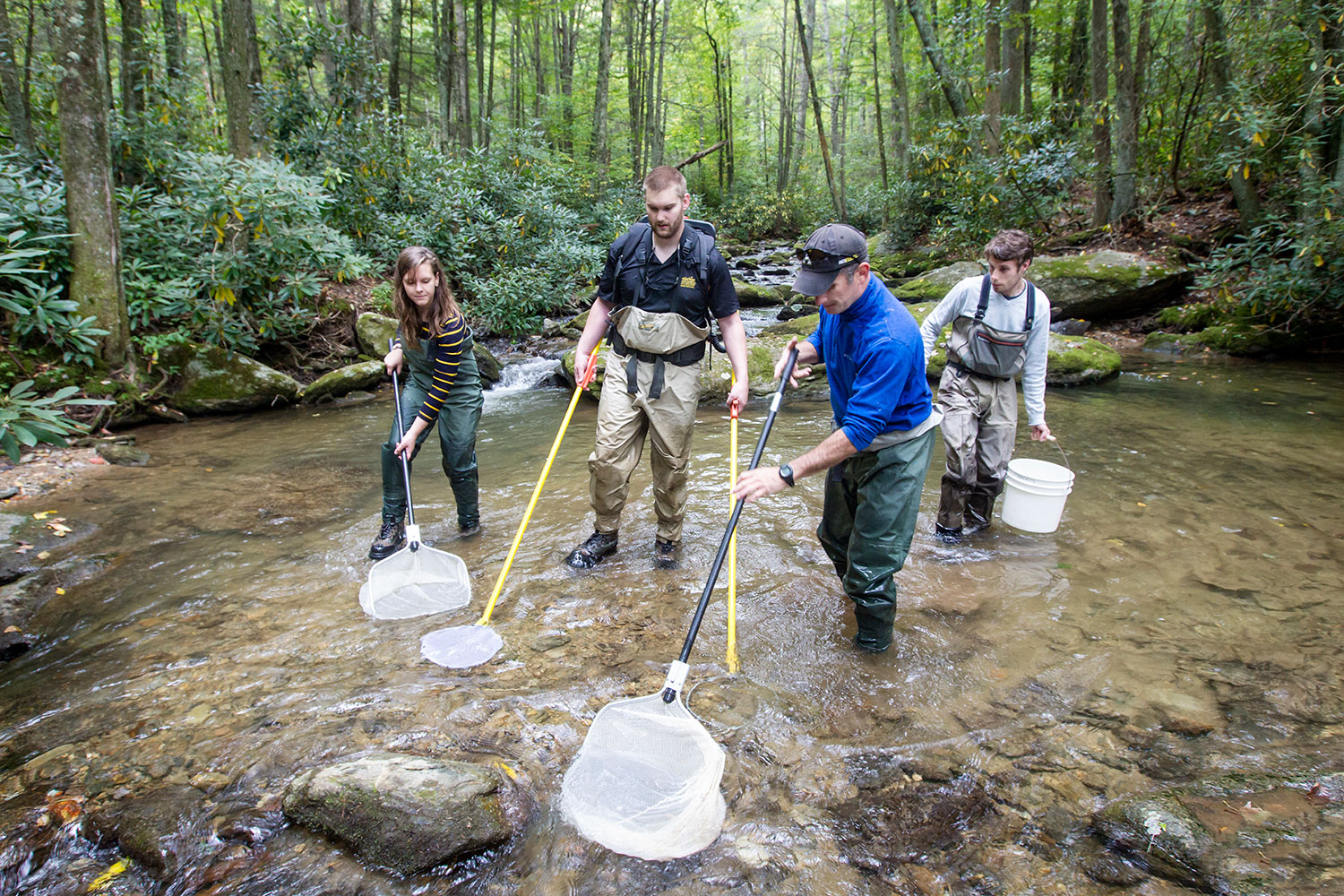 Explore Graduate Programs